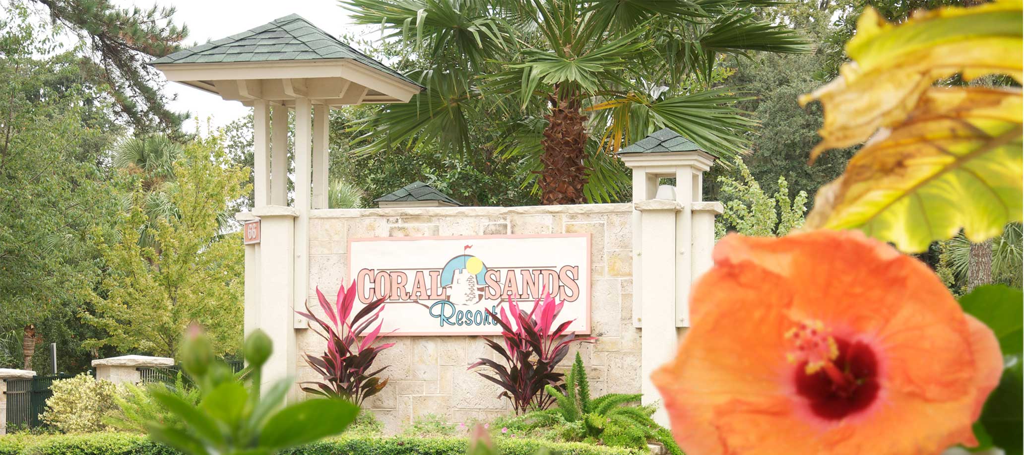 Luxury Resort-Palmera Vacation Club